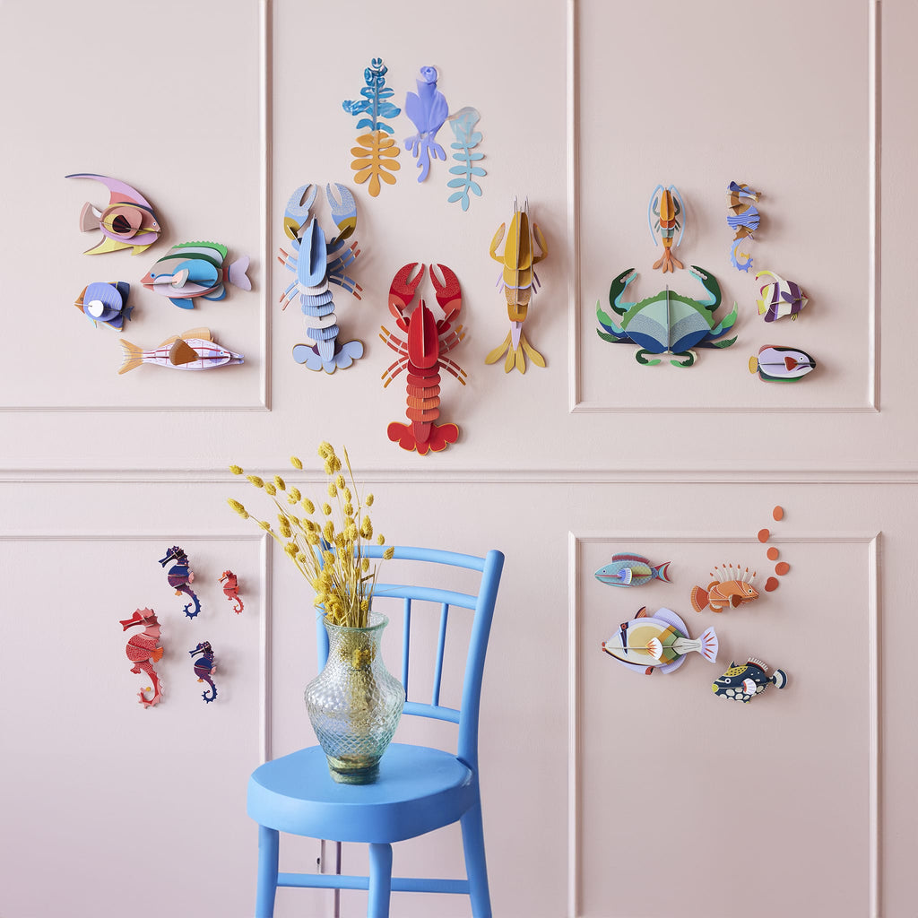 Hippocampe à anneaux bleus 