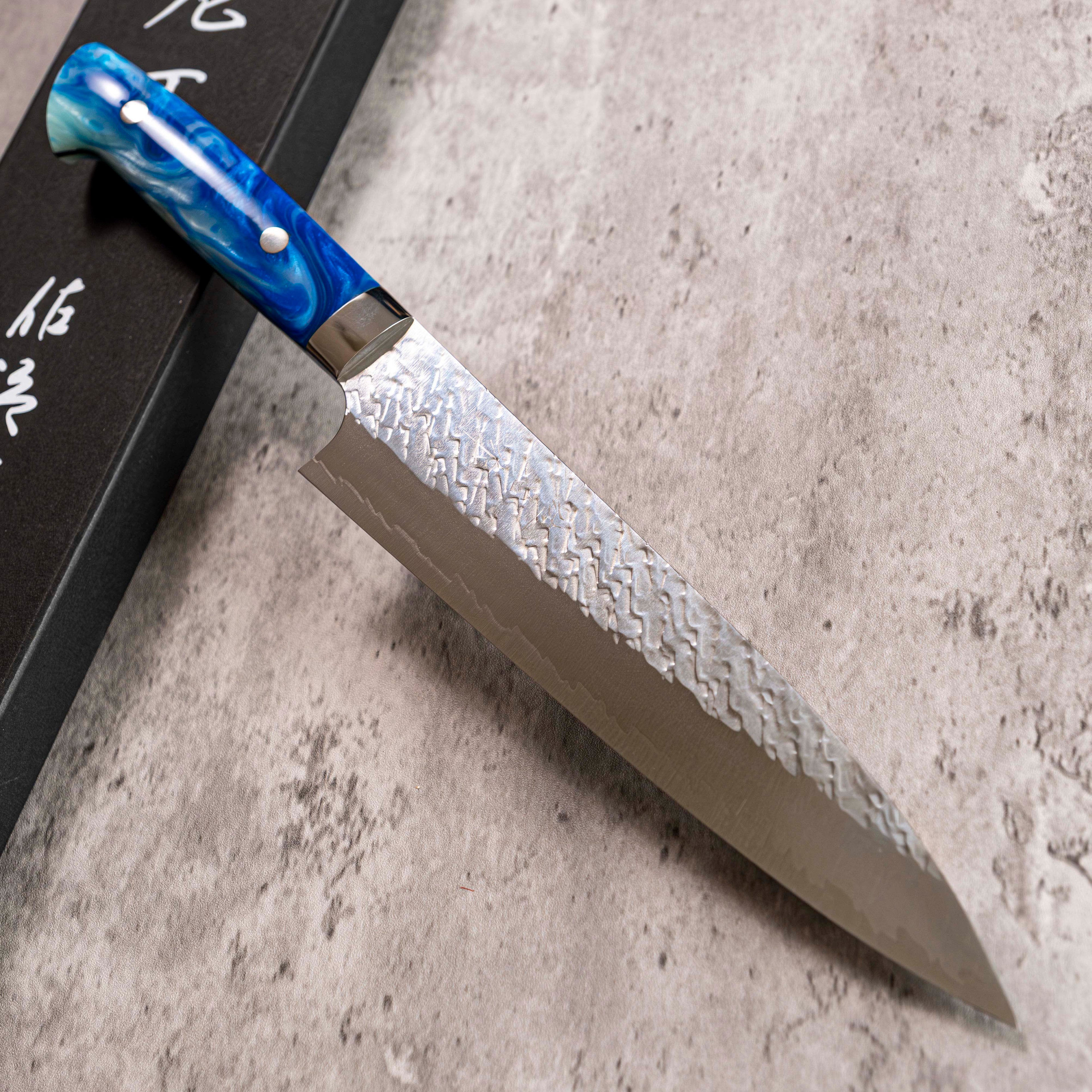 Takeshi Saji STRIX Gyuto 205 mm