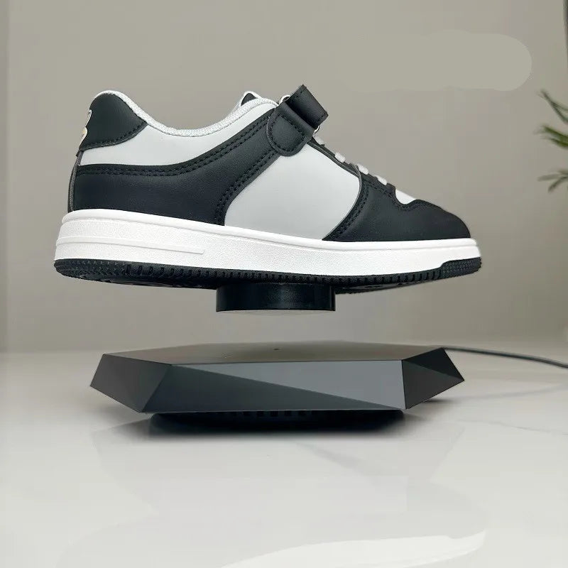 Magic "Levitate Anything" Display