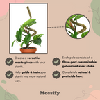 Ultimate Bendable Plant Support Pack