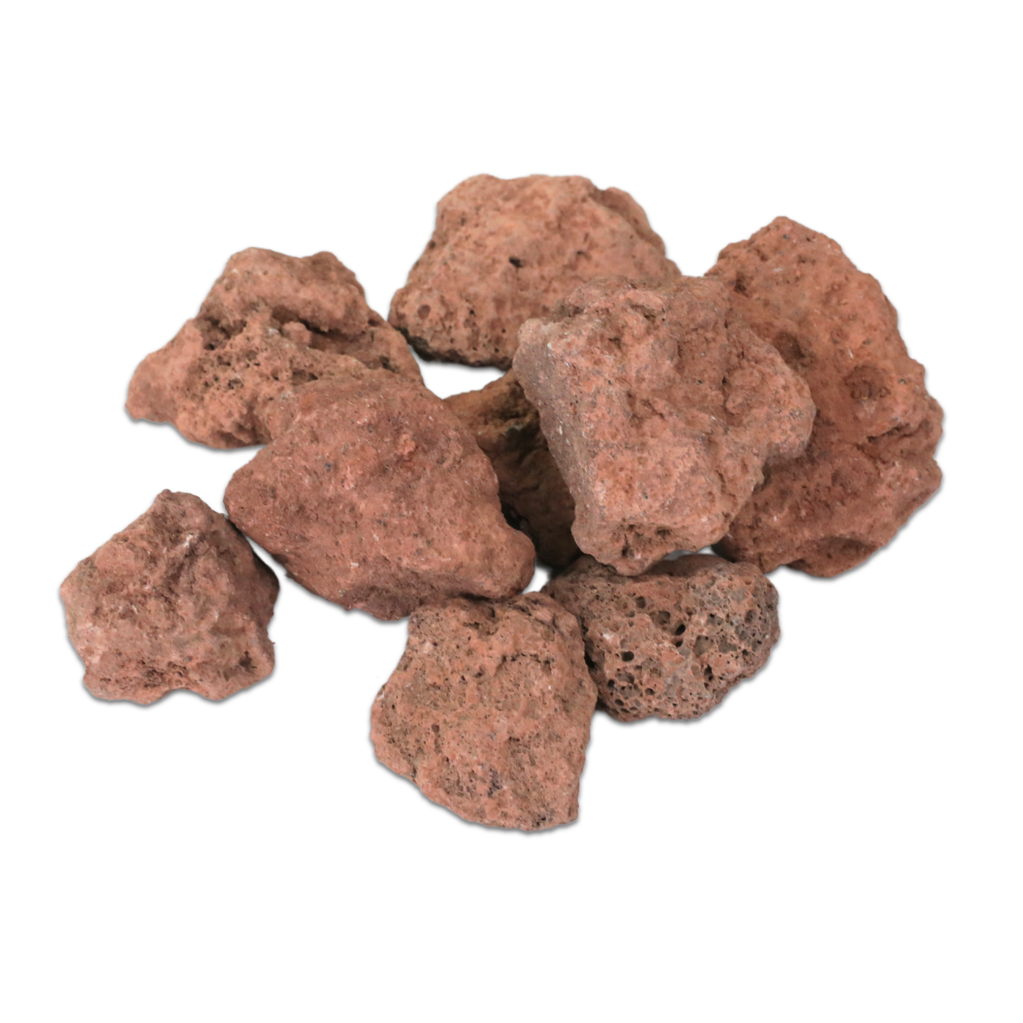 Mossify Terrarium Kit