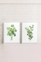 DUO FINES HERBES Obra de arte en lienzo tensado