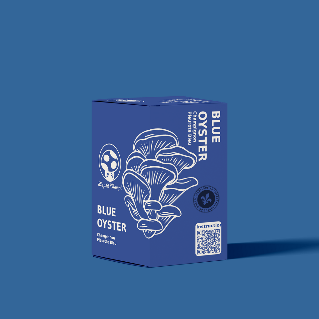 Blue Oyster Mushroom Kit
