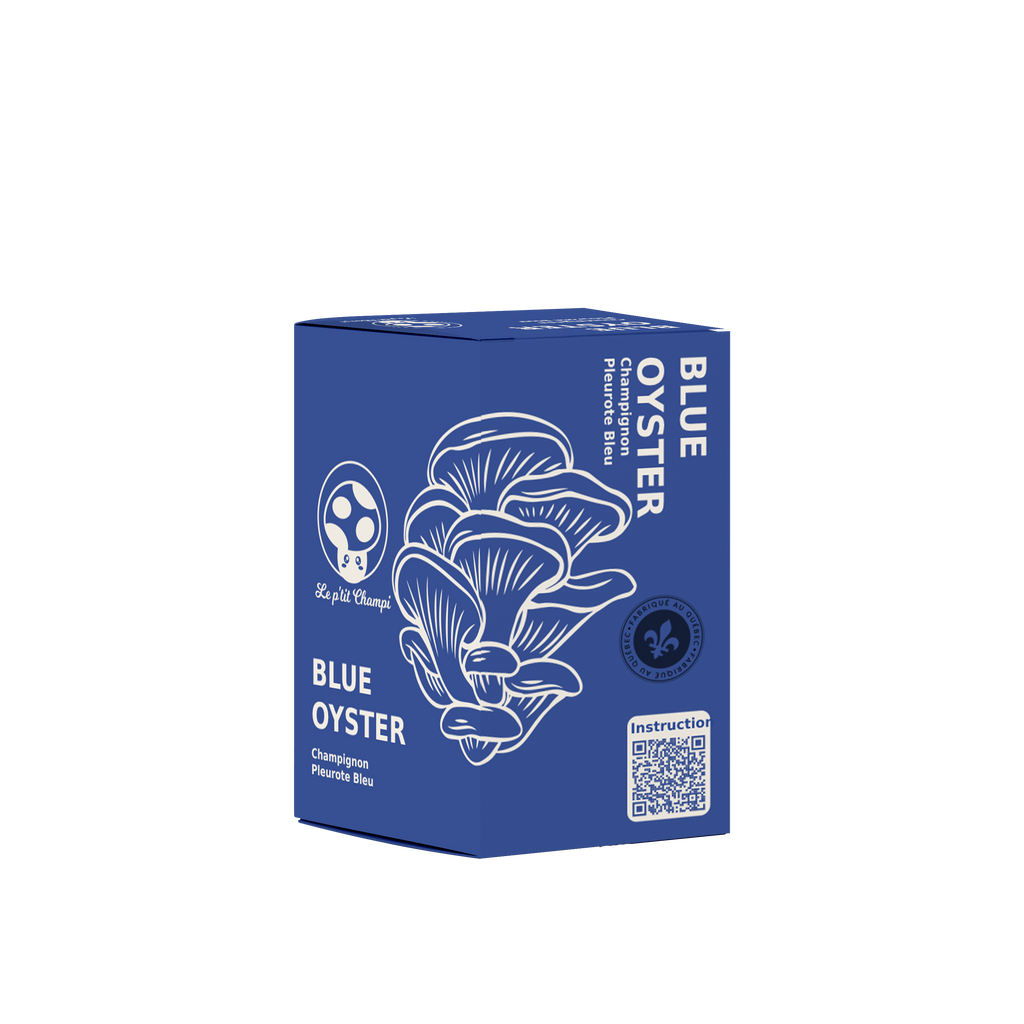 Blue Oyster Mushroom Kit