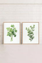 DUO FINES HERBES Obra de arte en lienzo tensado