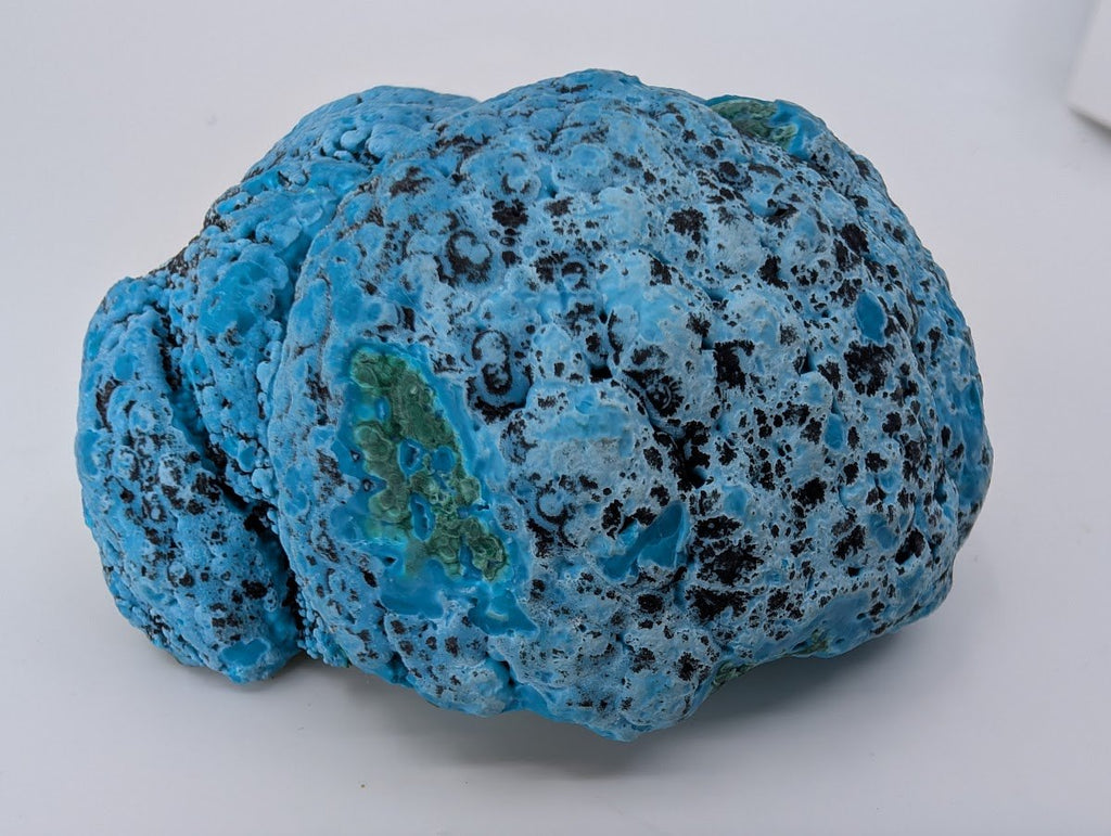 Congo Chrysocolla with Malachite – Botryoidal Specimen with Natural Base (363g)