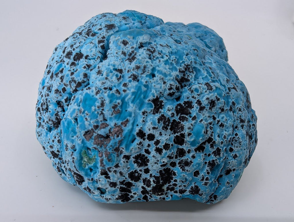 Congo Chrysocolla with Malachite – Botryoidal Specimen with Natural Base (363g)