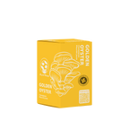 Golden Oyster Mushroom Kit