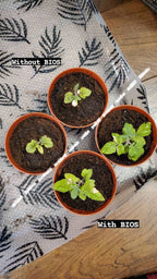 Bios Natural Plant Fertilizer