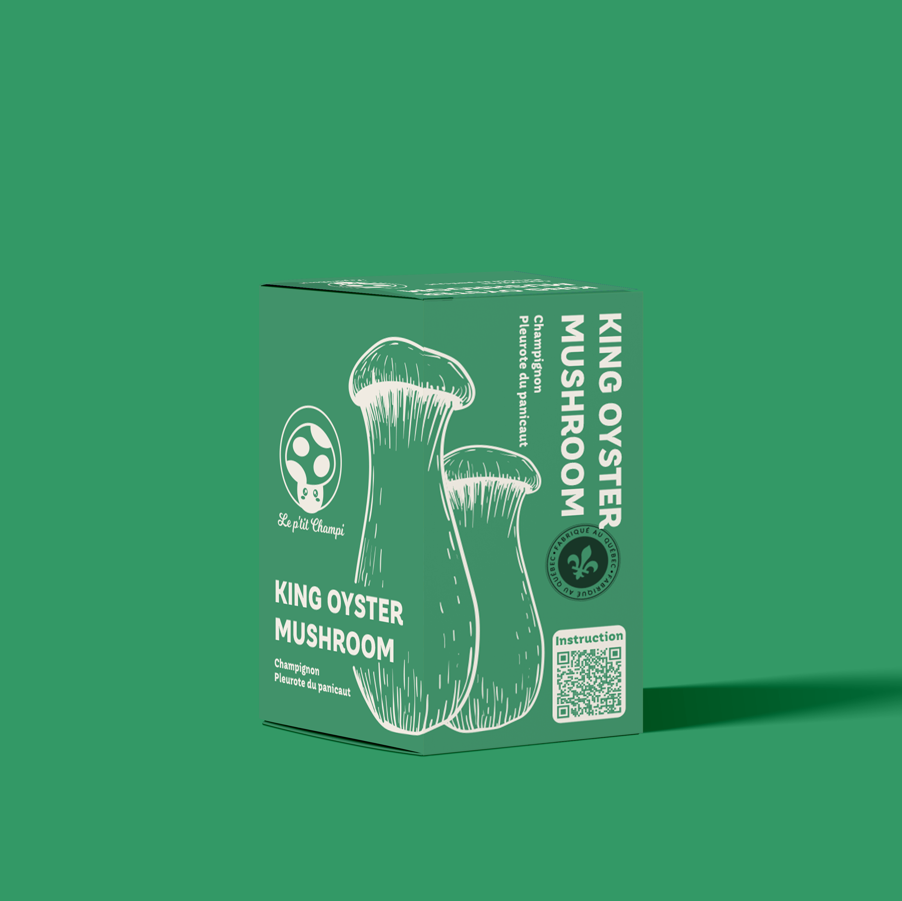 King Oyster Mushroom Kit