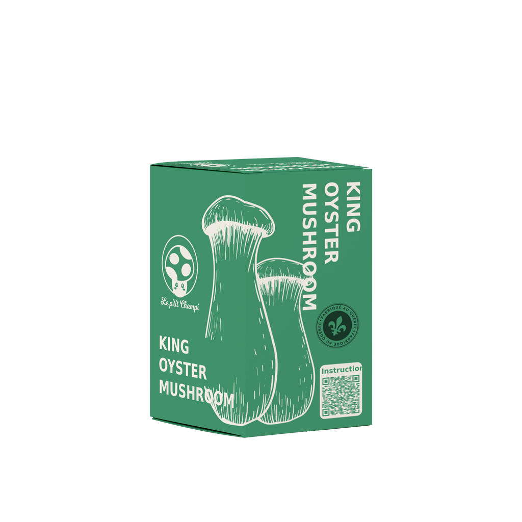 King Oyster Mushroom Kit