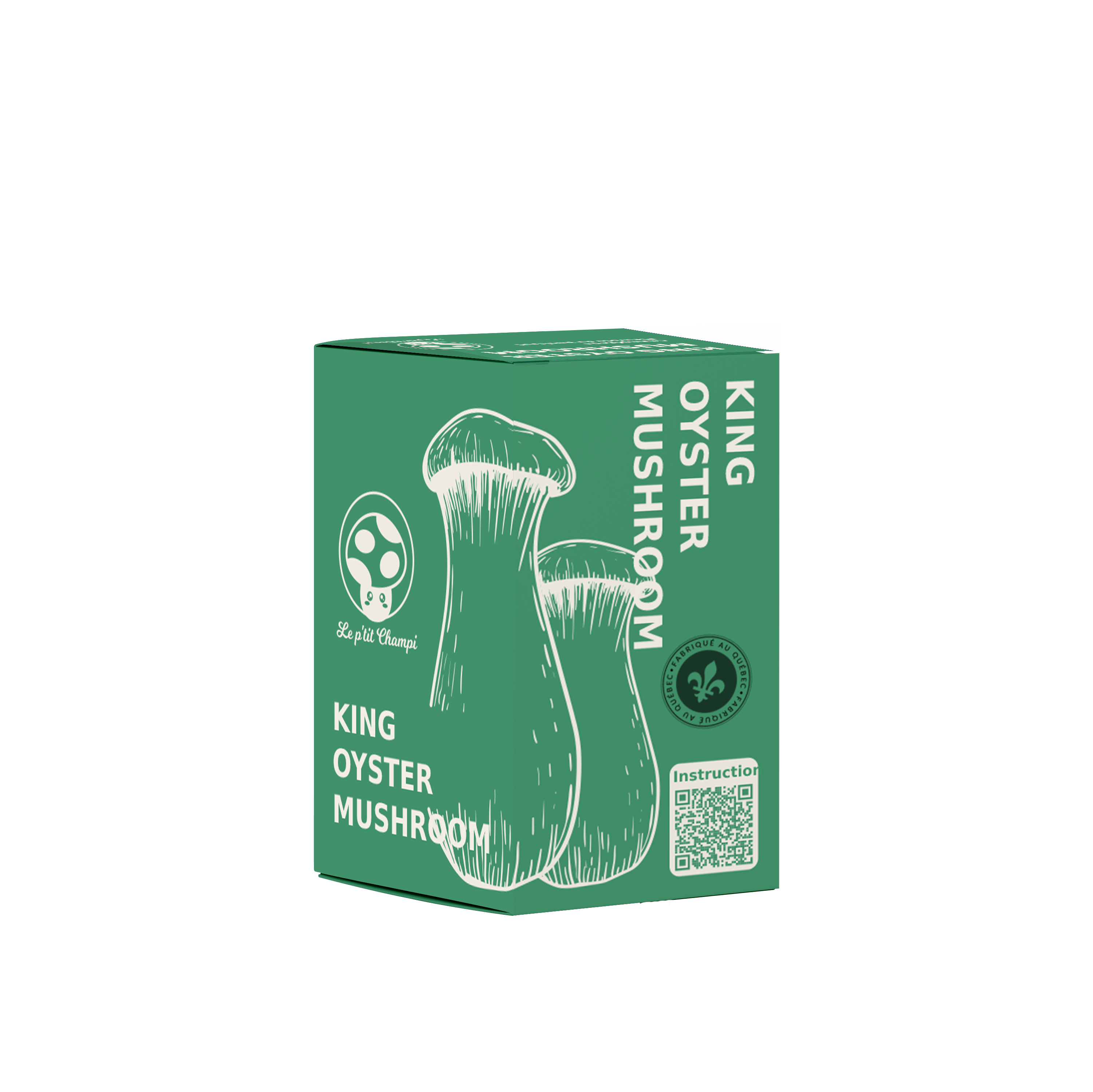 King Oyster Mushroom Kit