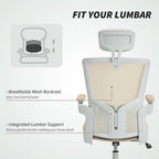 Sillón de oficina ergonómico Andre con soporte lumbar 2D y reposacabezas ajustable - Beige/Blanco