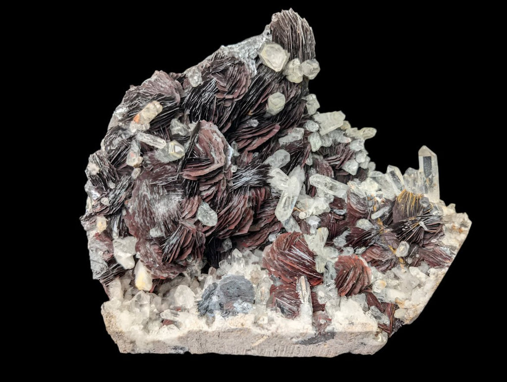 Museum-Grade Magnetic Iron Rose Hematite with Quartz – Jinlong Hill, Guangdong, China
