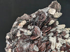 Museum-Grade Magnetic Iron Rose Hematite with Quartz – Jinlong Hill, Guangdong, China
