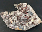 Museum-Grade Magnetic Iron Rose Hematite with Quartz – Jinlong Hill, Guangdong, China