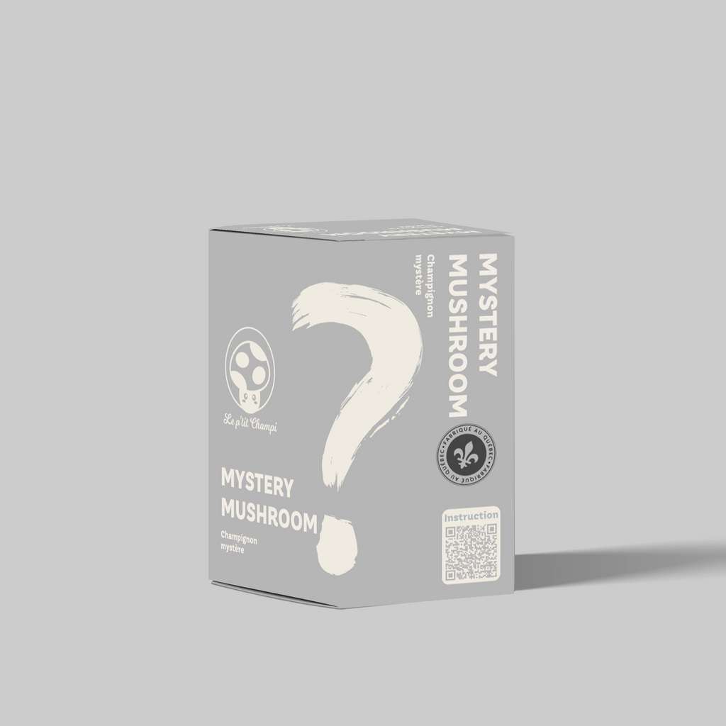 Kit de Setas Misteriosas