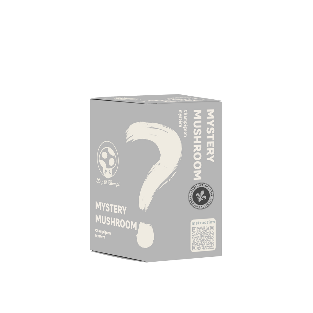 Kit de Setas Misteriosas