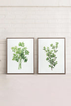 DUO FINES HERBES Obra de arte en lienzo tensado