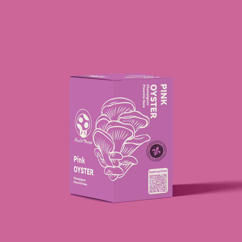 Kit de Hongos Ostra Rosados