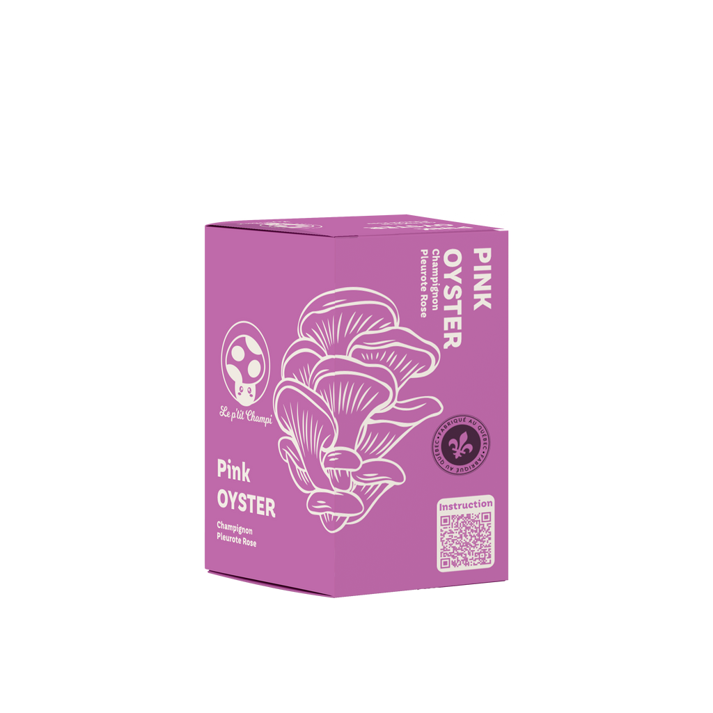 Kit de Hongos Ostra Rosados