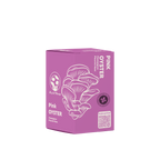 Kit de Hongos Ostra Rosados