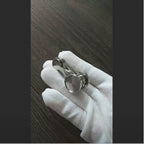 Newton's Chaos Pendulum Spinner