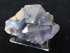 Purple Fluorite with Pyrite Dusting – YGX, China