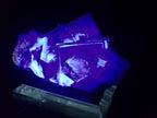 Purple Fluorite with Pyrite Dusting – YGX, China