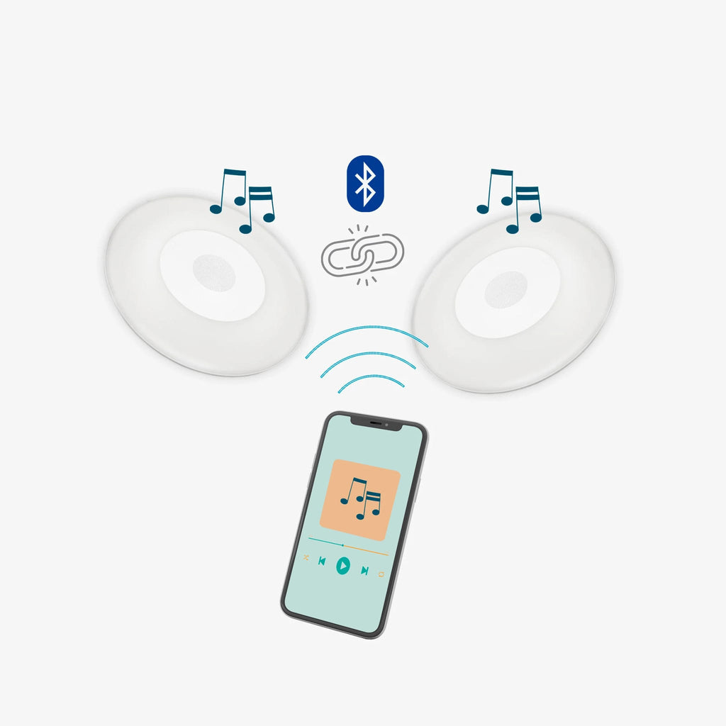 Wally Play Disk Bluetooth Transmitter for Pool