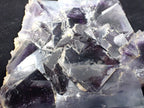 Yindu Fluorite with Deep Purple Zoning and UV Fluorescence – Yindu Mine, Inner Mongolia, China
